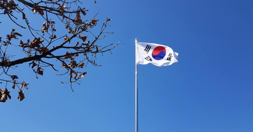 the-flag-of-south-korea